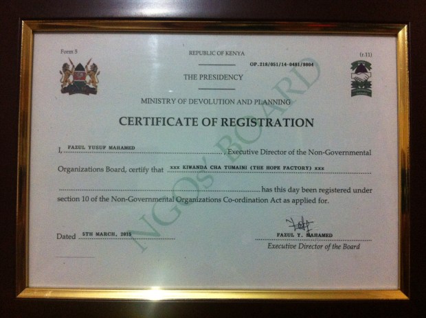NGO Certificate - Framed